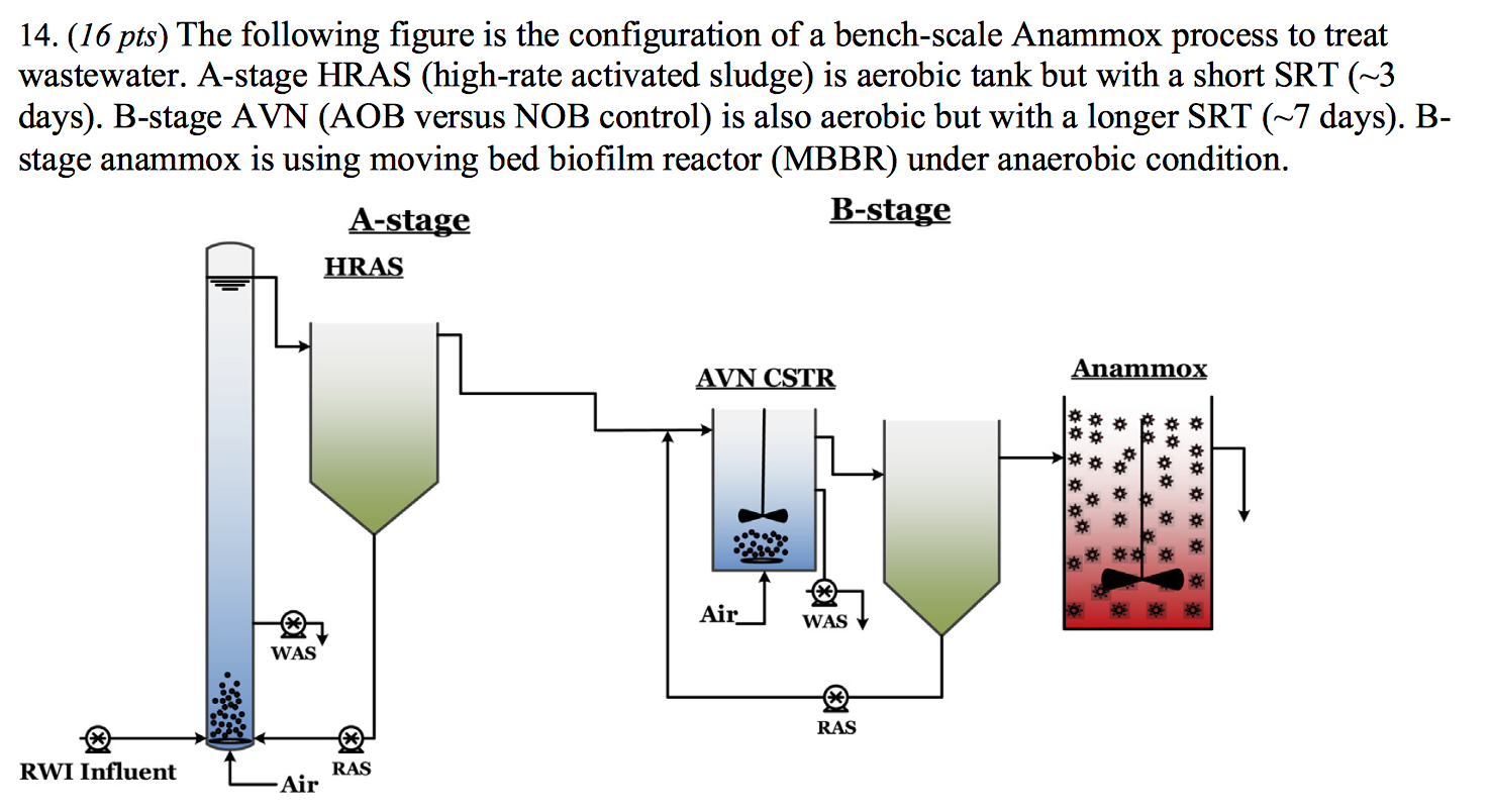 Solved 1. Explain The Following Processes Anammox, | Chegg.com