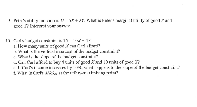 Solved 6 The Consumer s Utility Function For Goods X And Chegg