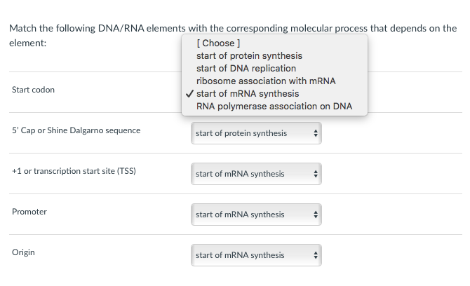 Solved Match The Following DNA/RNA Elements With The | Chegg.com