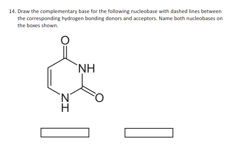 Solved 14. Draw the complementary base for the following | Chegg.com