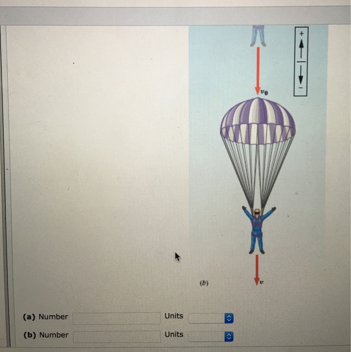 Solved Chapter 02, Problem 90 A Skydiver Is Falling Straight | Chegg.com