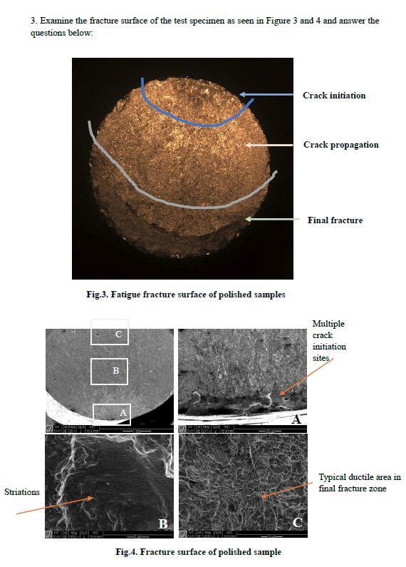Solved 3. Examine the fracture surface of the test specimen | Chegg.com