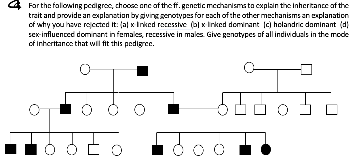 Solved For the following pedigree, choose one of the ff. | Chegg.com