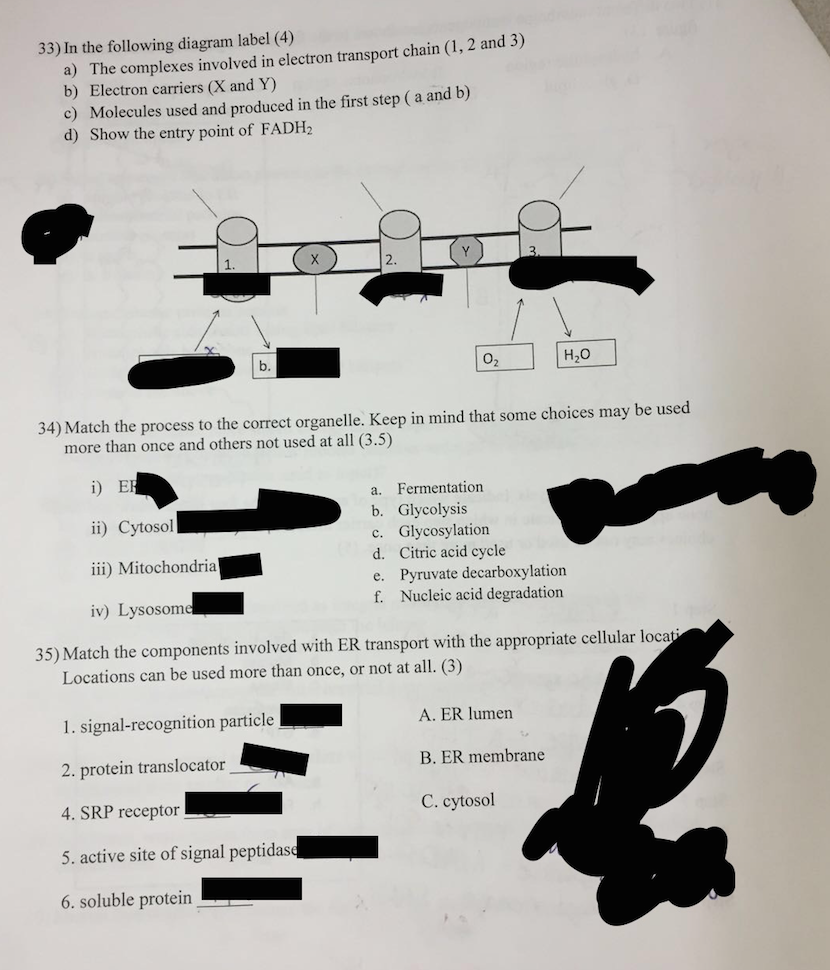 Solved 33) In the following diagram label (4) d 3) a) The | Chegg.com