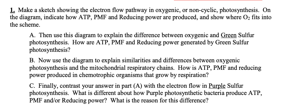 Solved 1. Make a sketch showing the electron flow pathway in | Chegg.com