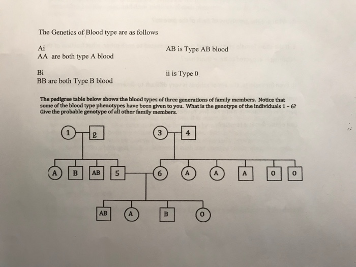 Solved The Genetics of Blood type are as follows Ai AA are | Chegg.com