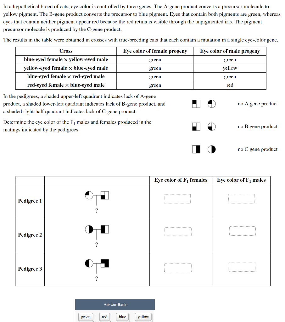 Solved In a hypothetical breed of cats, eye color is