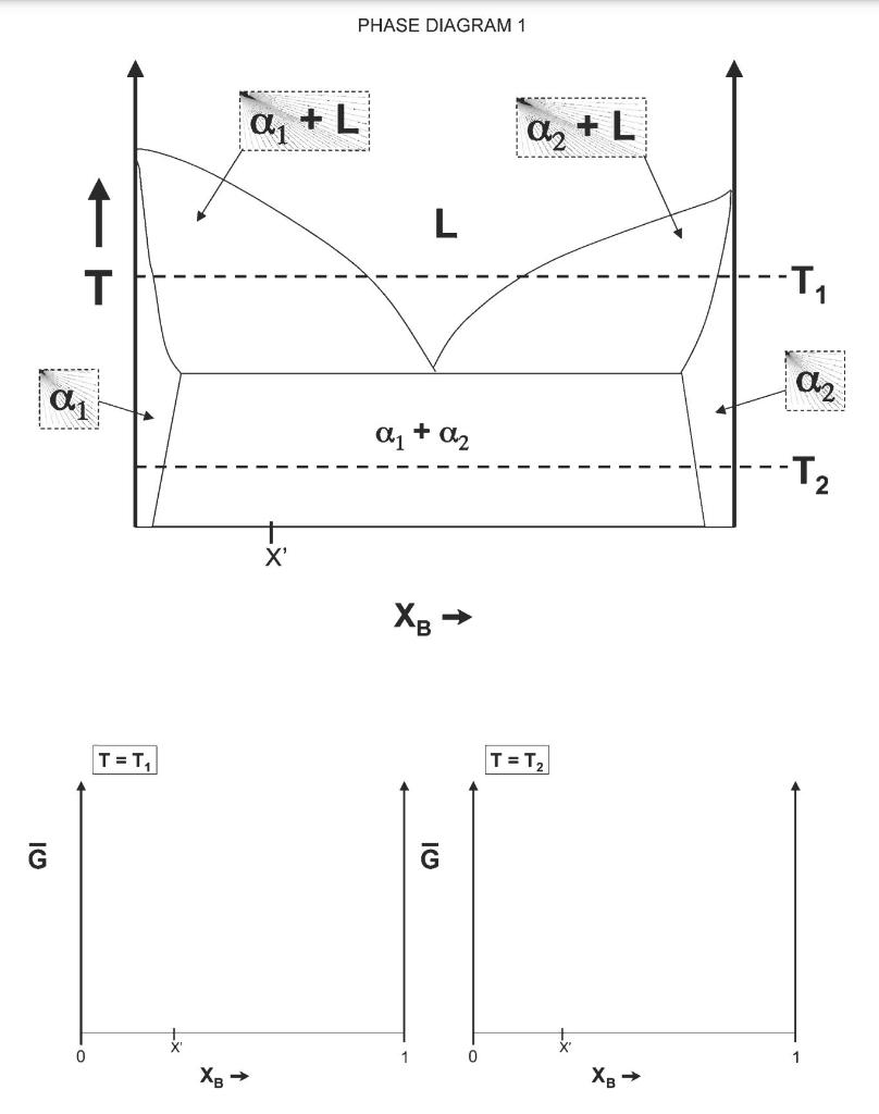 Solved Shown On The Following Page Is A Hypothetical Phase | Chegg.com