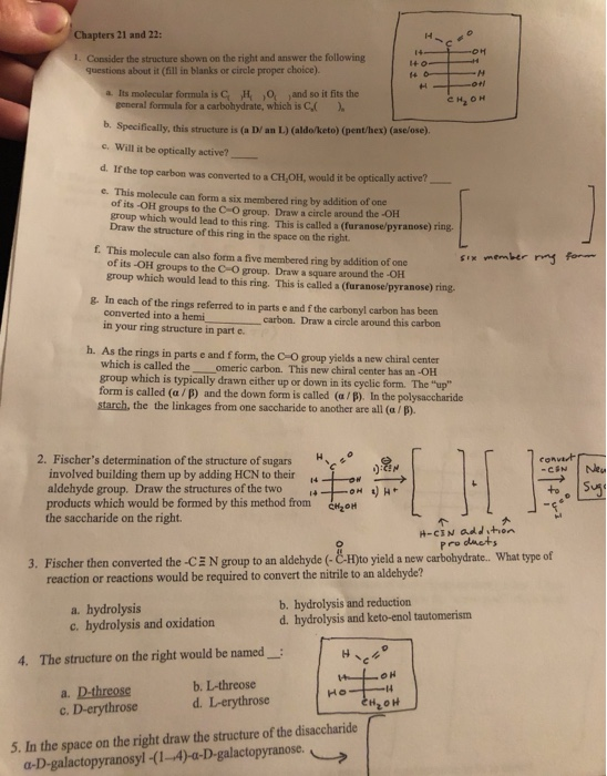 Solved Chapters 21 and 22: 14 I. Consider the structure | Chegg.com