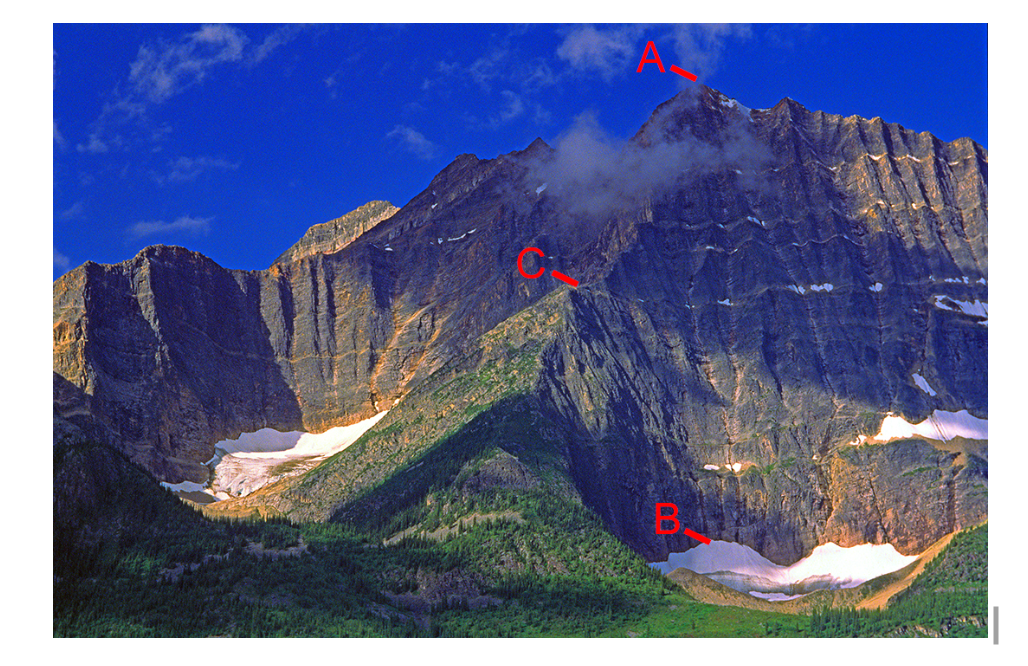 Solved The labeled 