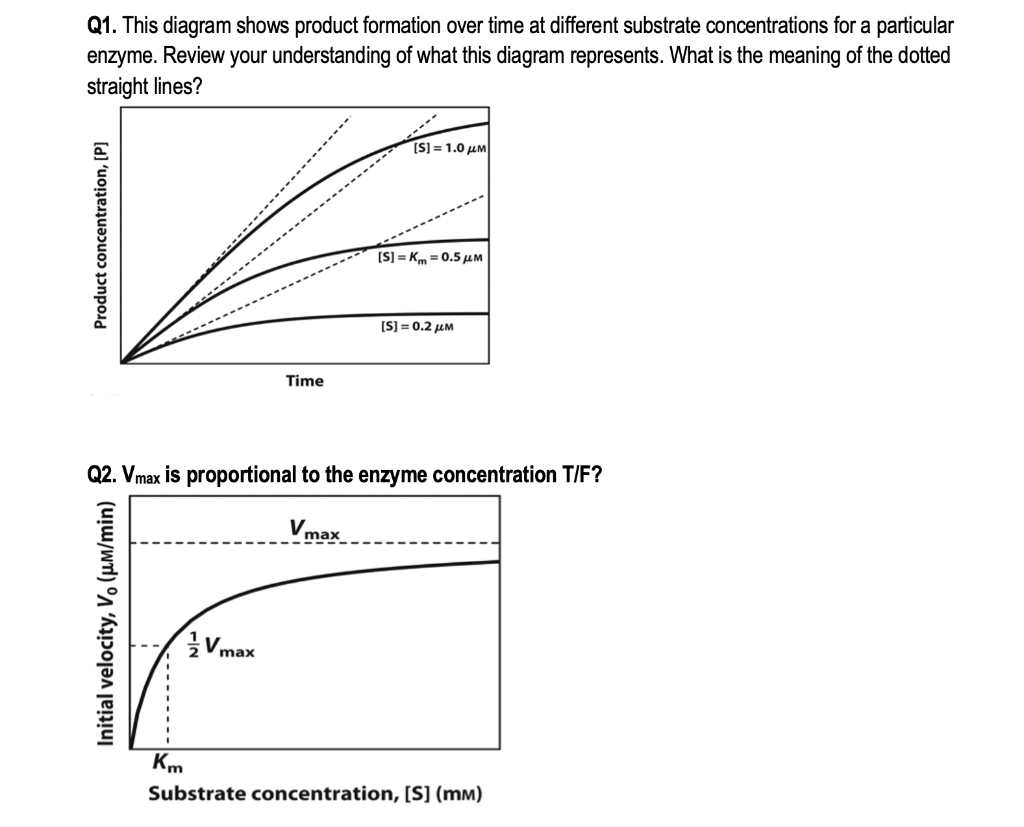 enzyme substrate concentration graph