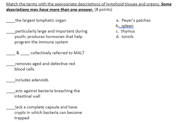 Solved A G H Use the diagram above to match the letters on | Chegg.com
