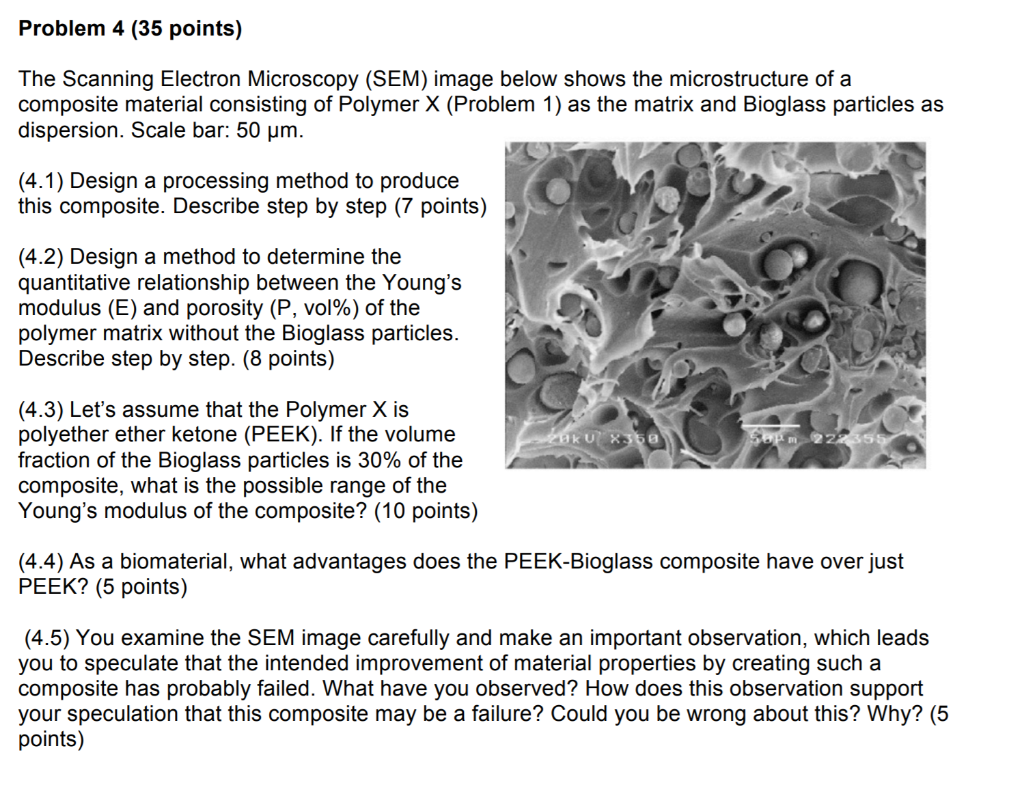 Problem 4 (35 points) The Scanning Electron