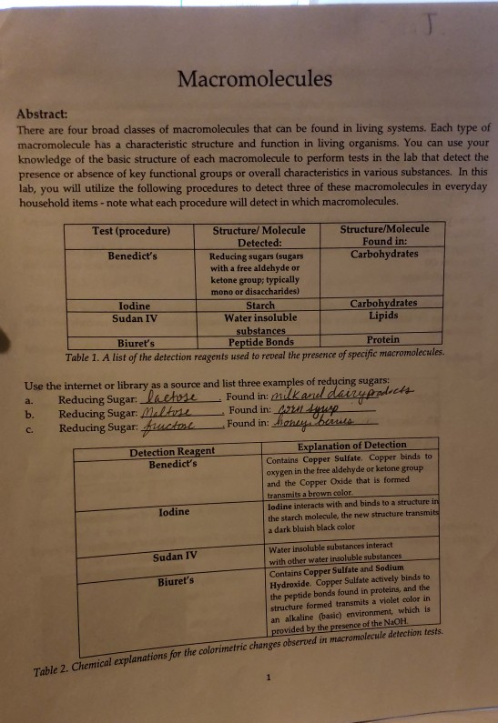 MACROMOLECULE TESTING LAB ANSWER KEY