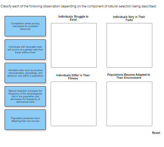 solved-components-of-natural-selection-classify-each-of-the-chegg