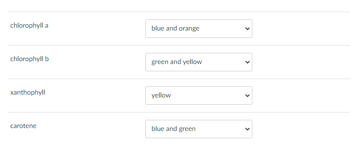 Solved chlorophylla blue and orange chlorophyll b green and | Chegg.com