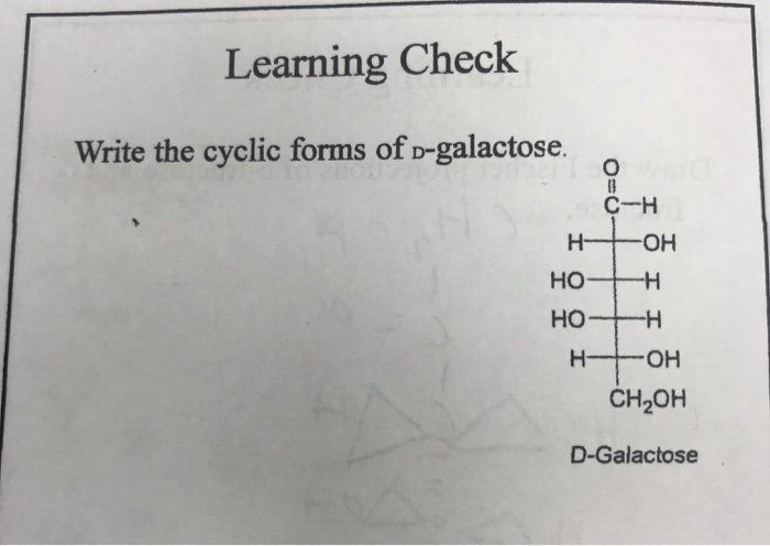 Solved Learning Check Write the cyclic forms of D galactose Chegg com