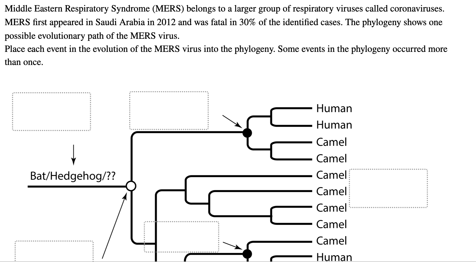 solved-middle-eastern-respiratory-syndrome-mers-belongs-to-chegg