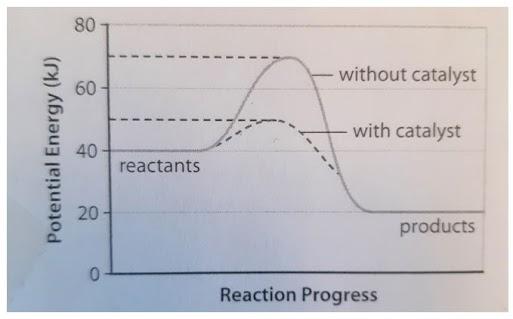 potential energy diagram with catalyst