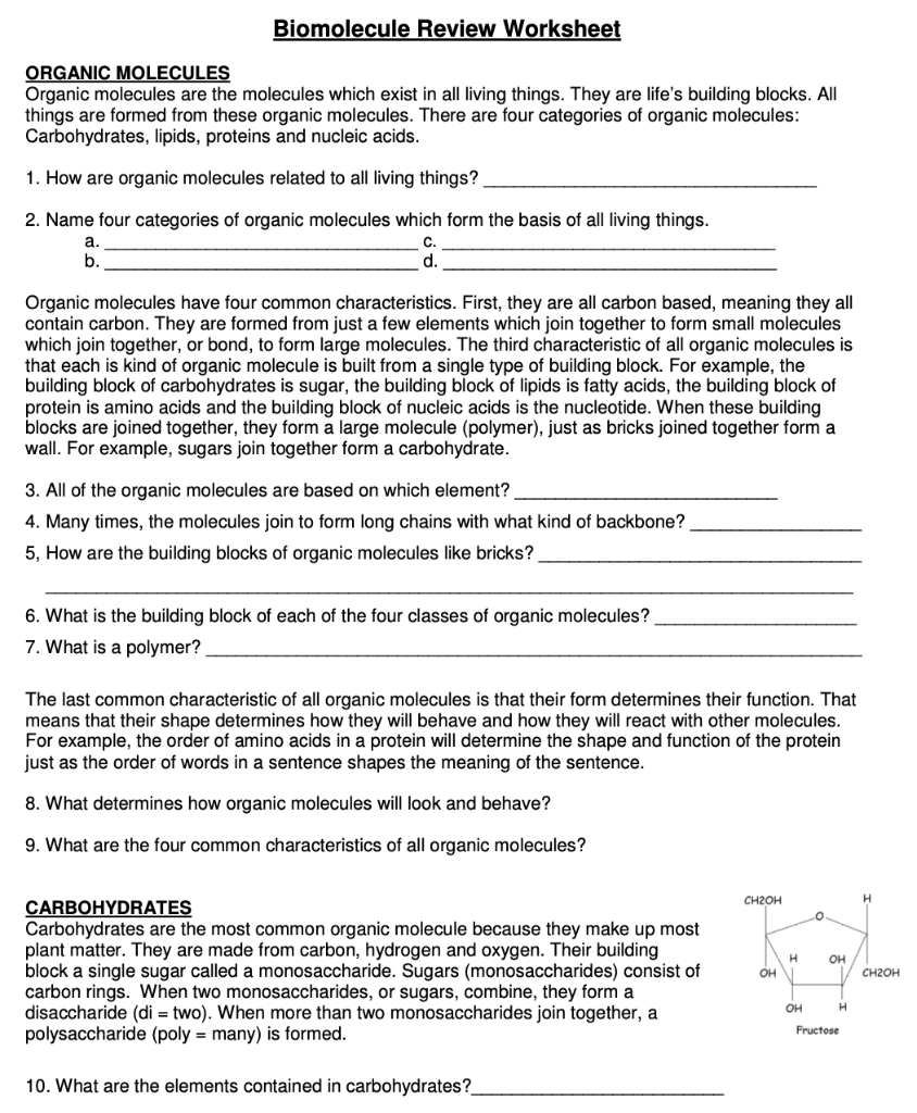 homework the function of biomolecules answer key