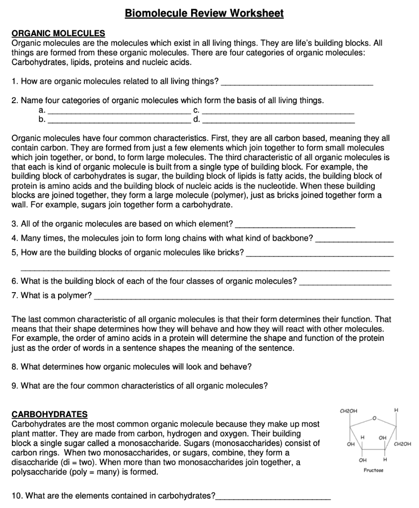 Solved Biomolecule Review Worksheet ORGANIC MOLECULES | Chegg.com