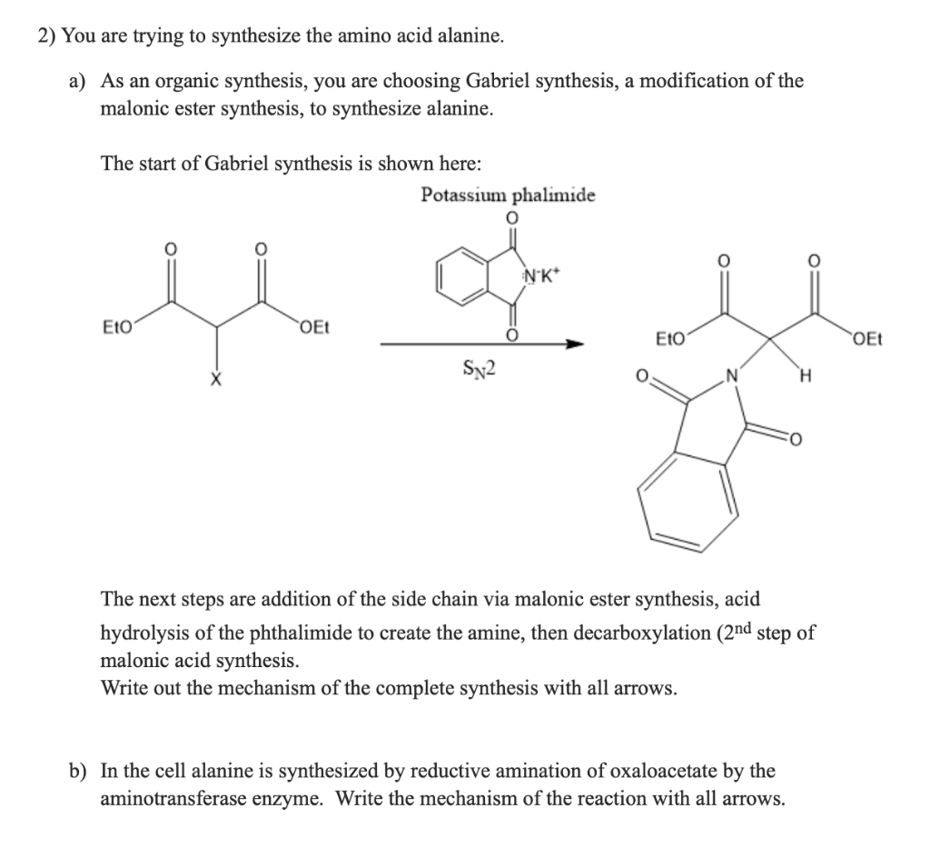 Solved 2) You are trying to synthesize the amino acid | Chegg.com