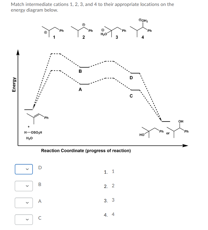 Solved Match intermediate cations 1, 2, 3, and 4 to their | Chegg.com