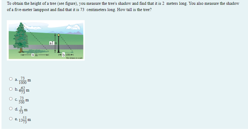 Solved To Obtain The Height Of A Tree (see Figure), You | Chegg.com