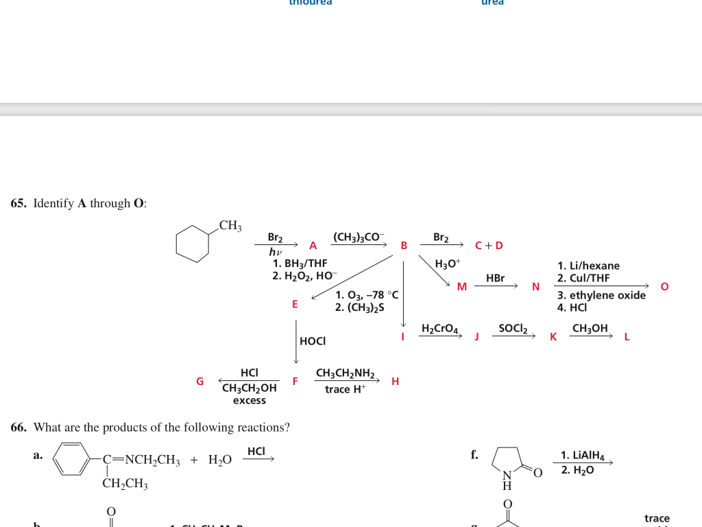 Solved urea 65. Identify A through O CH 3 Br2 CH3 3CO Br2 Chegg