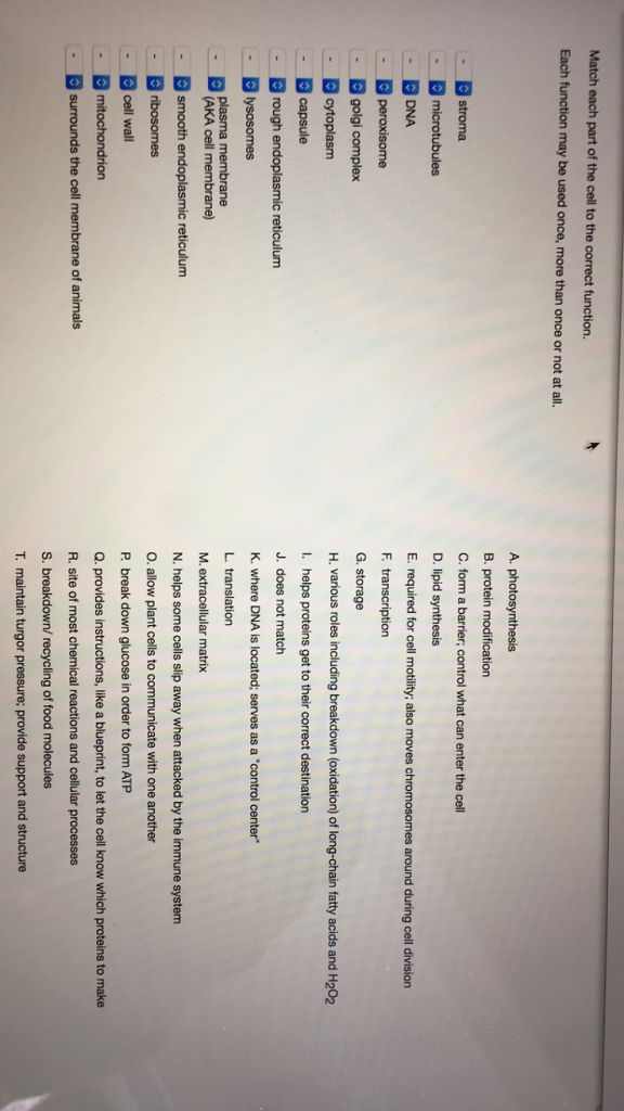 Solved Match each part of the cell to the correct function. | Chegg.com