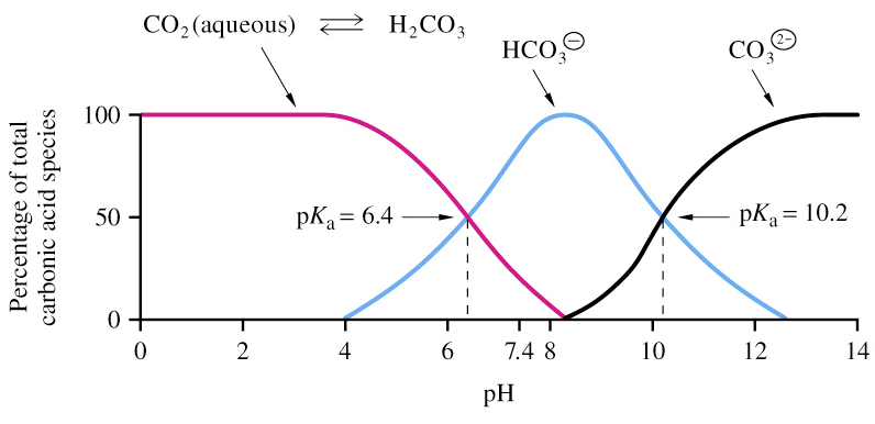 Solved Describe the major carbonic acid species in each | Chegg.com