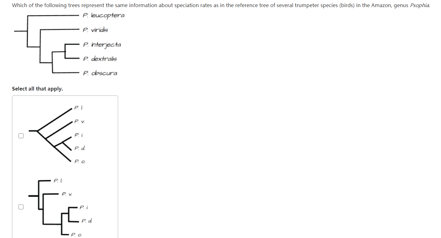 Solved Which of the following trees represent the same