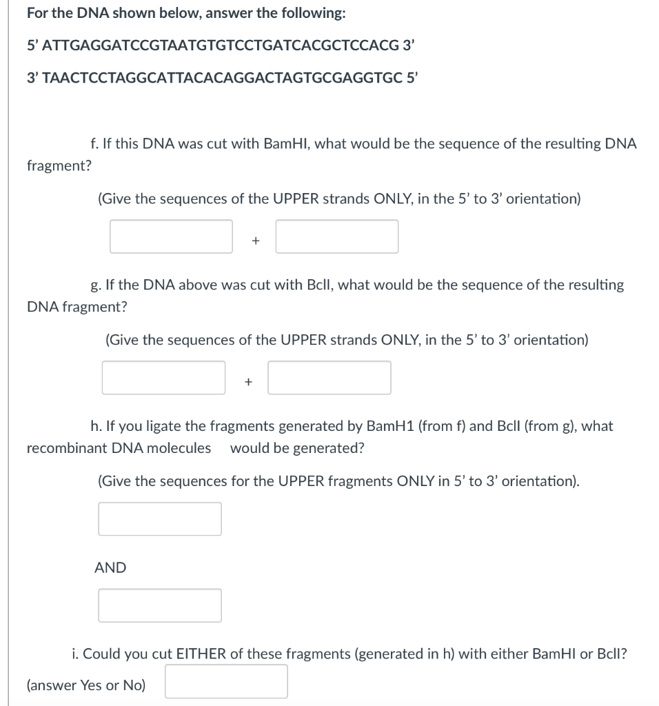 Solved For the DNA shown below, answer the following: | Chegg.com