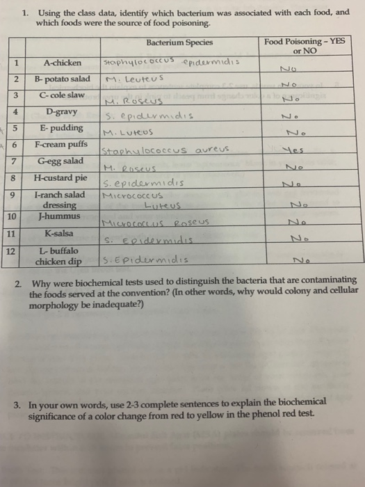 Solved 3 1 Using The Class Data Identify Which Bacteriu Chegg Com