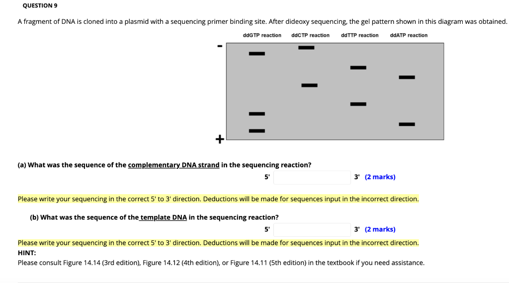 Solved QUESTION 9 A Fragment Of DNA Is Cloned Into A Plasmid | Chegg.com