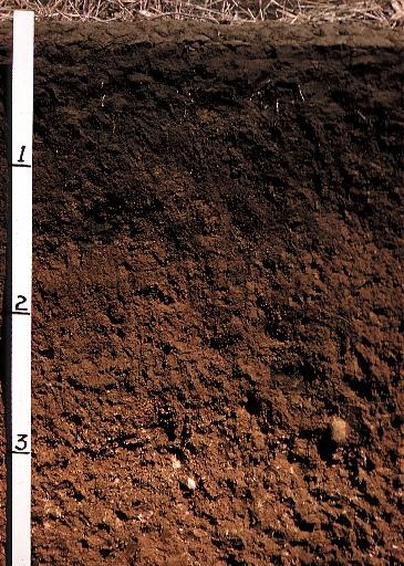 1—Put soil grain in order from smallest to largest #2—Draw the soil layers  #3—Get ready for Chapter 12 mingle. - ppt download