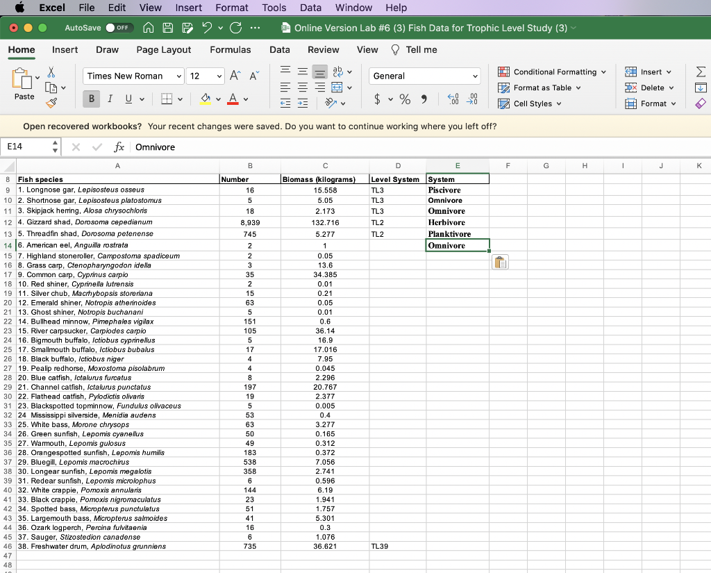 Excel File Edit View Insert Format Tools Data Window 