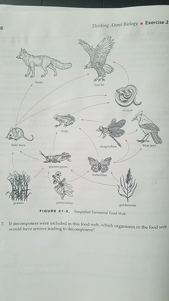 Solved 1) How many types of producers are represented in | Chegg.com