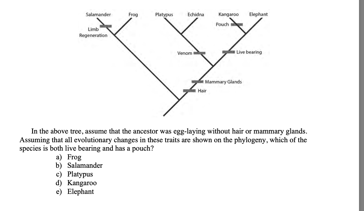 Solved In the above tree, assume that the ancestor was | Chegg.com