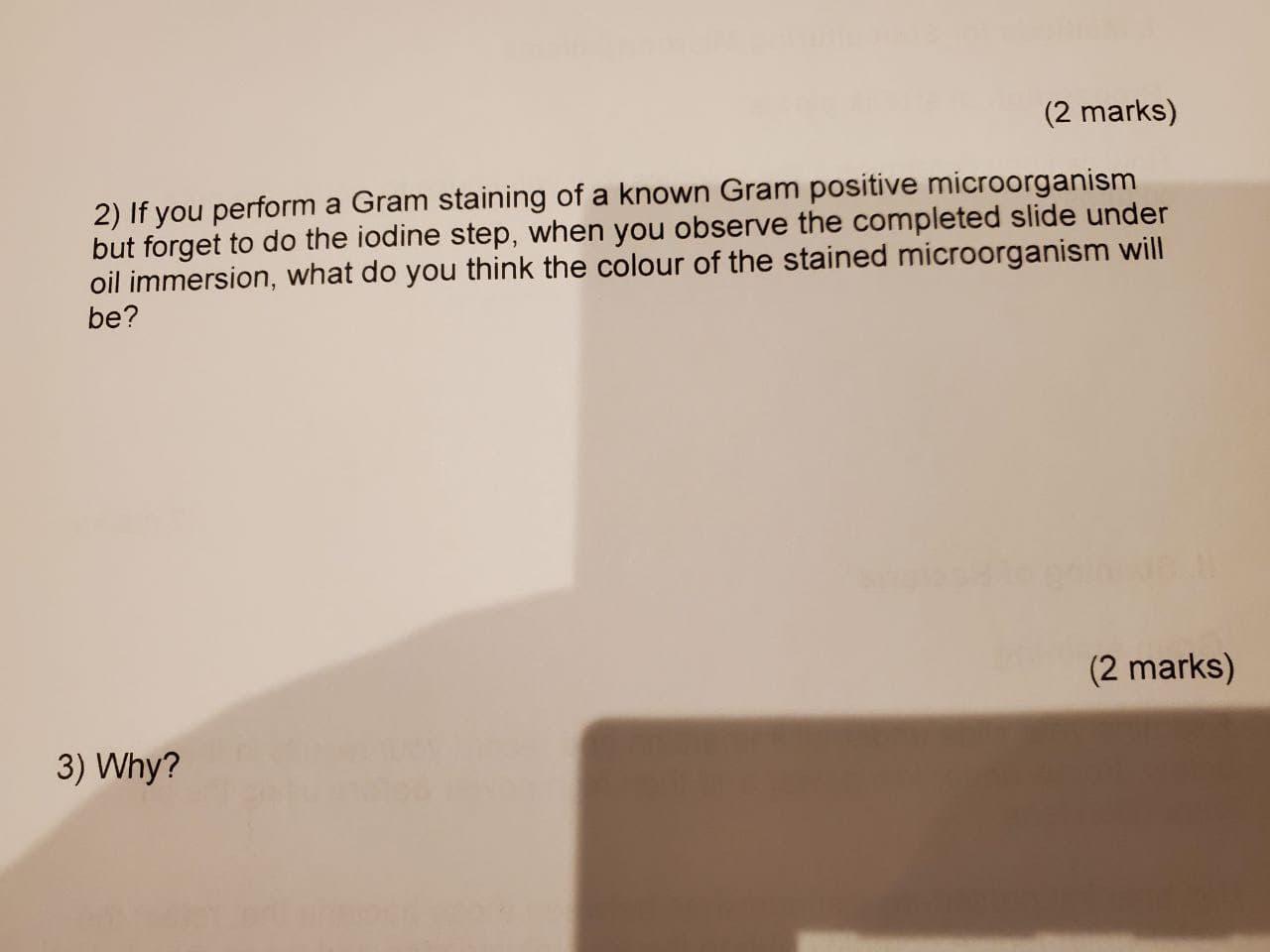 Solved (2 marks) 2) If you perform a Gram staining of a | Chegg.com