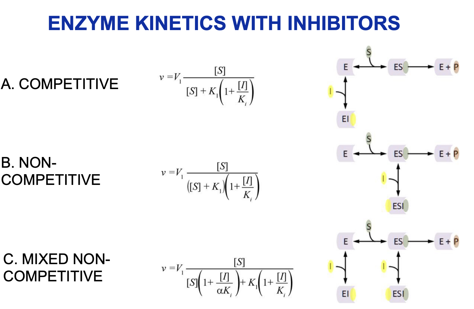 Solved ENZYME WITH INHIBITORS A. COMPETITIVE B.