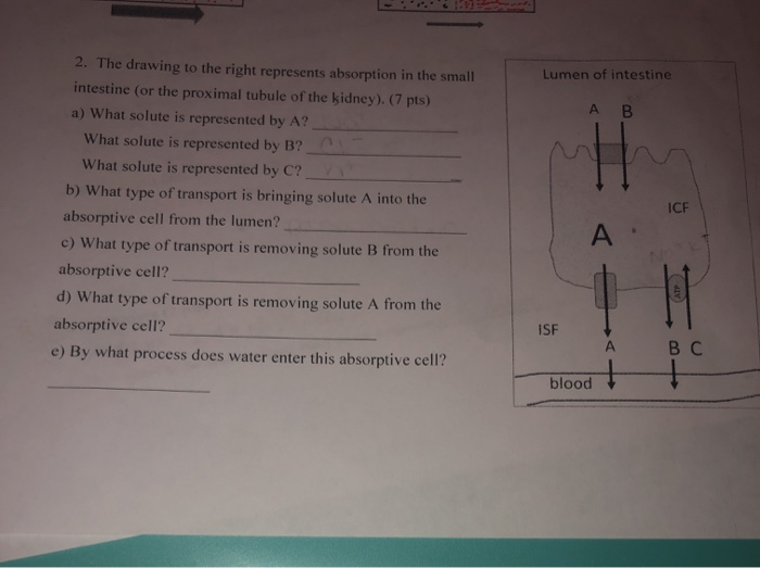 Solved 2. The drawing to the right represents absorption in | Chegg.com