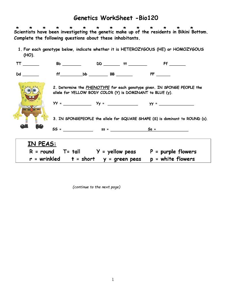 Solved Genetics Worksheet Bio 120 Scientists have been Chegg