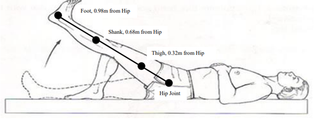 Solved 3) You are helping a patient to strengthen their hip | Chegg.com