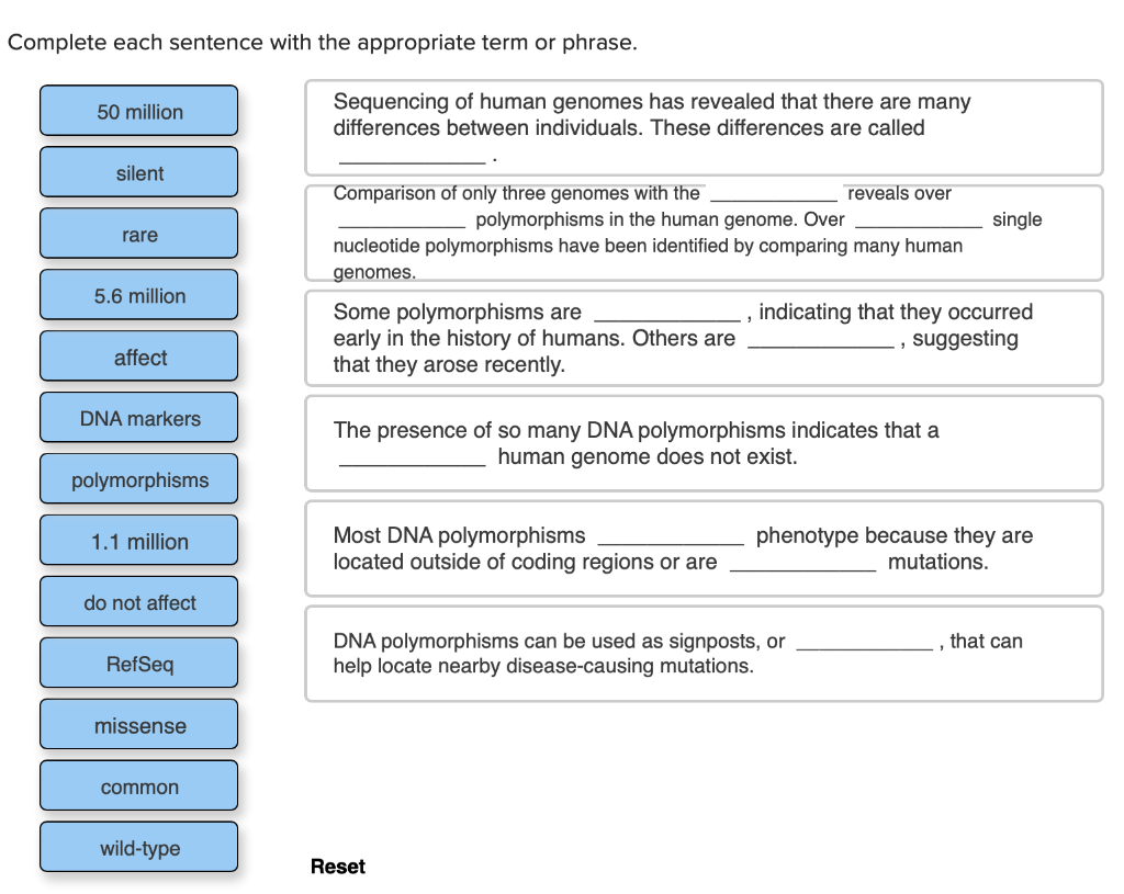 Solved Complete each sentence with the appropriate term or | Chegg.com