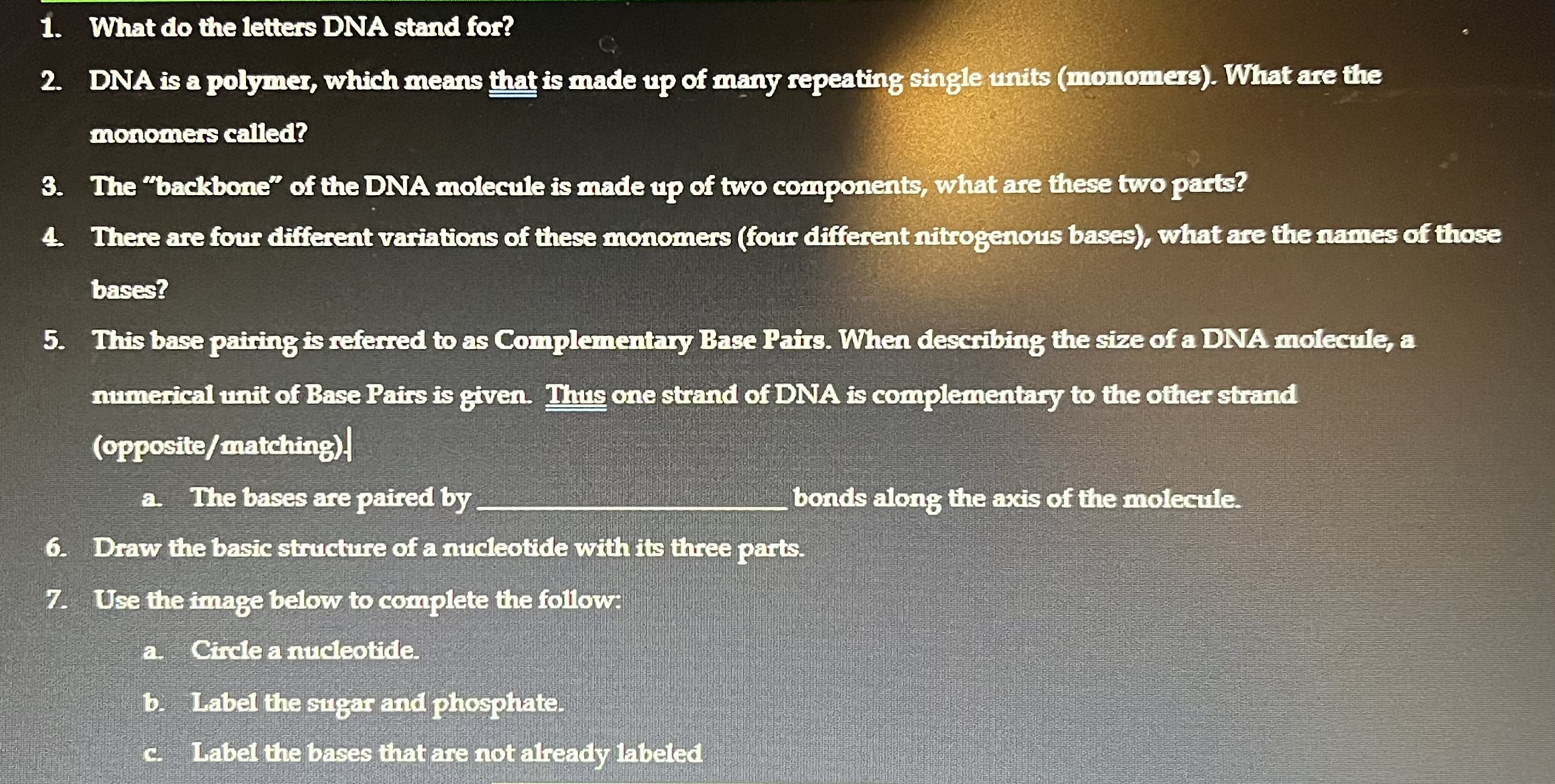 What Do The Letters Dna Stand For