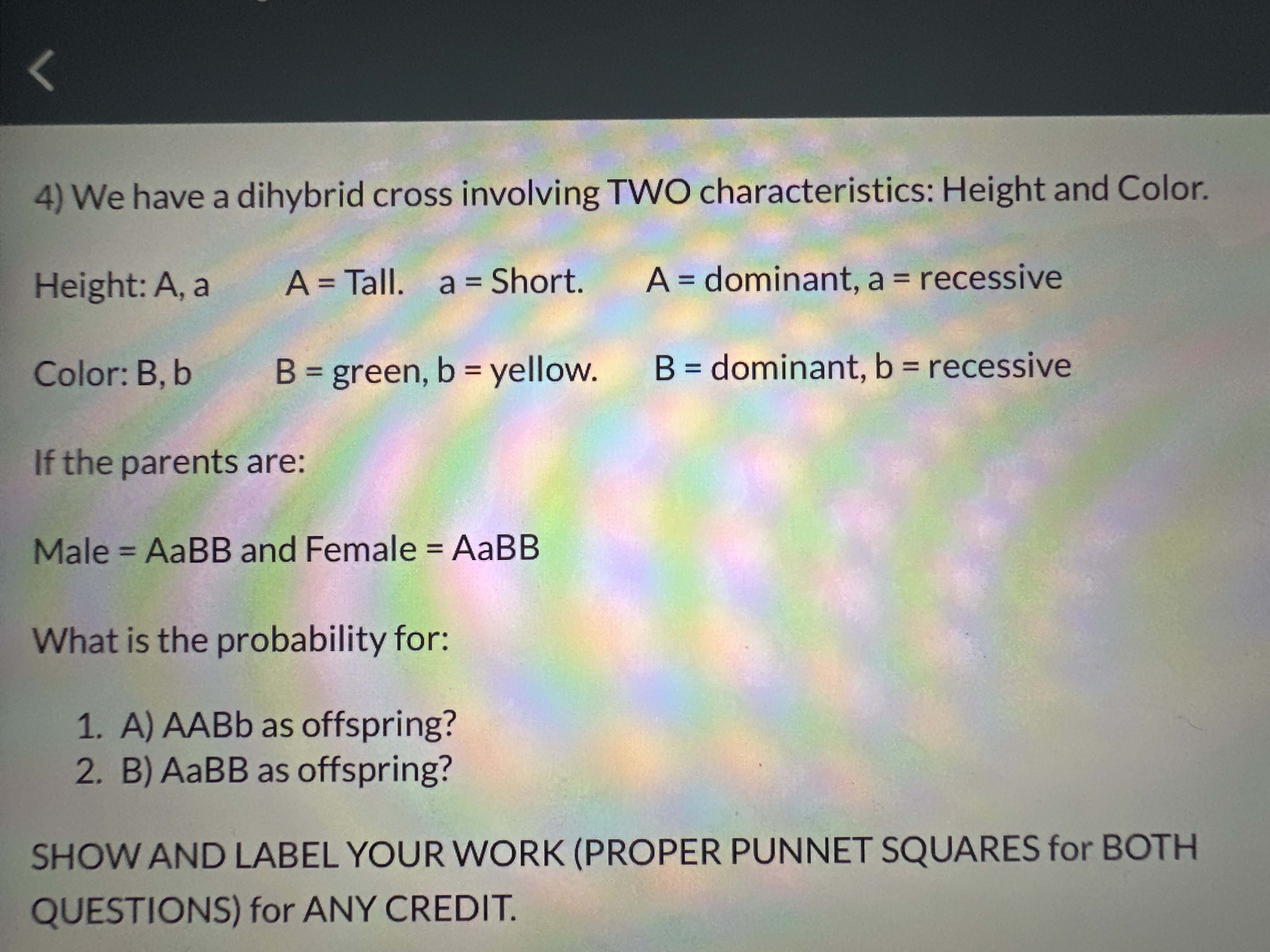 Solved 4) We have a dihybrid cross involving TWO | Chegg.com