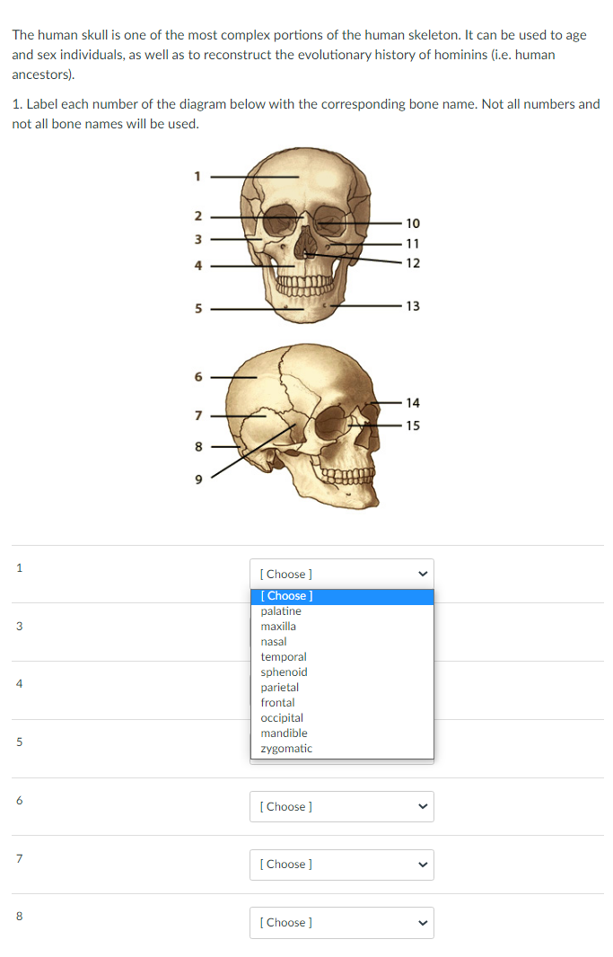 List of Skull and Bones members - Wikipedia