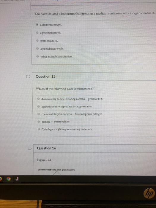 Solved You have isolated a bacterium that grows in a medium | Chegg.com