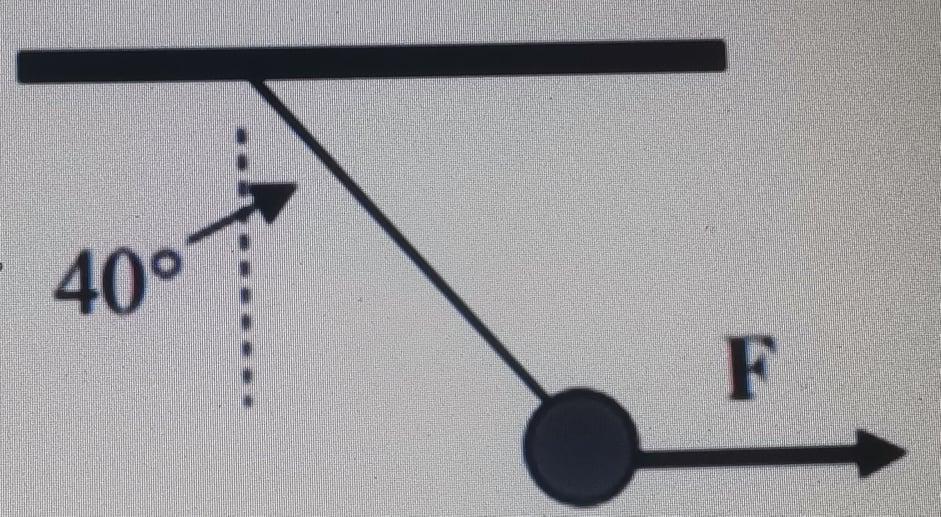 Solved 1. A 65 kg child sits on a seesaw 3 meters away from | Chegg.com